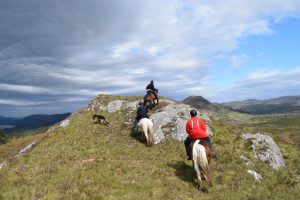 2 people riding Highland ponies up hill.